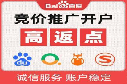 某企业通过百度SEM实现ROI最大化的案例